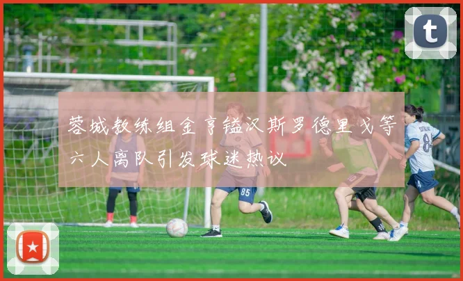 蓉城教练组金亨镒汉斯罗德里戈等六人离队引发球迷热议